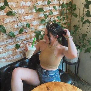 Urban Outfitters Camel Crop Top